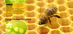 Bulgarian Bee Association